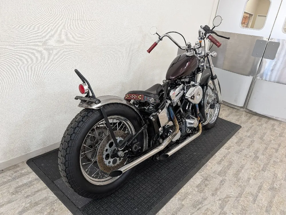 Harley-Davidson Heritage Softail Classic 1994, фото 4