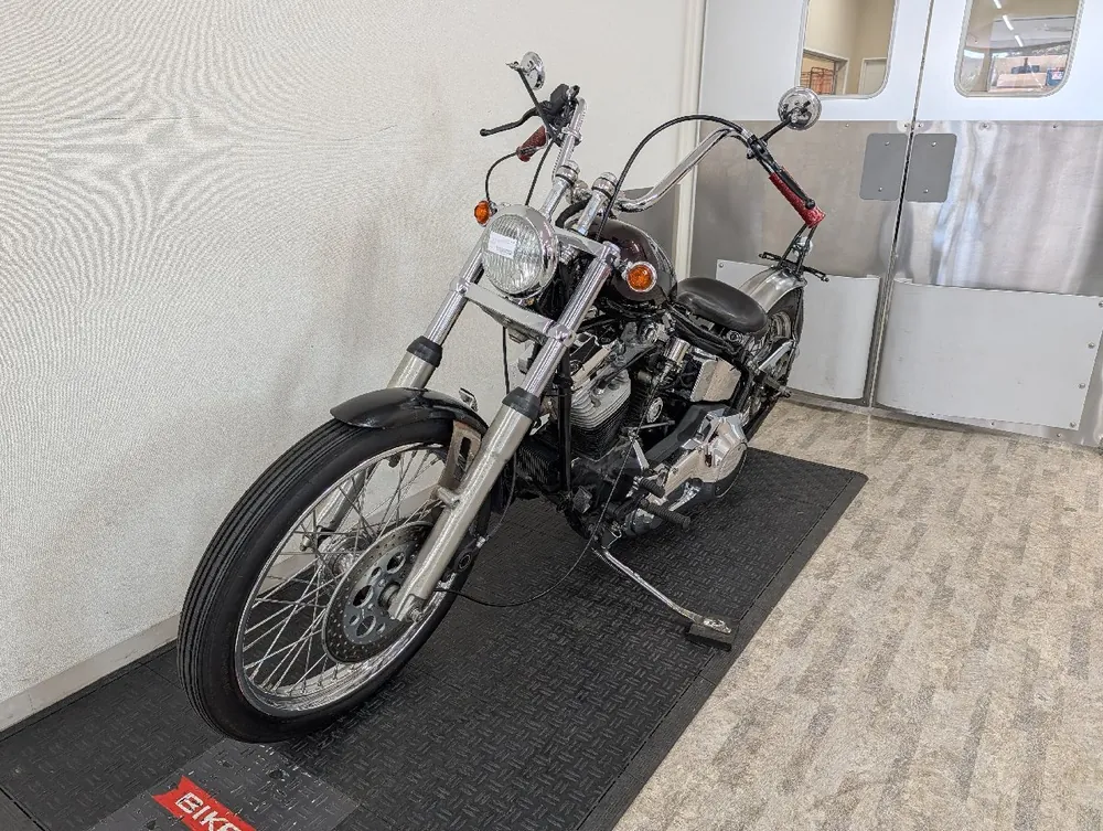 Harley-Davidson Heritage Softail Classic 1994, фото 6