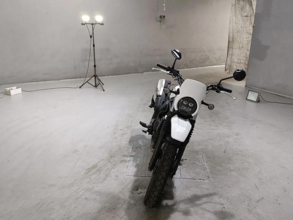 Honda CL250, белый, фото 3