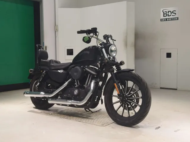 Harley-Davidson XL883N 2012, matt black, фото 3