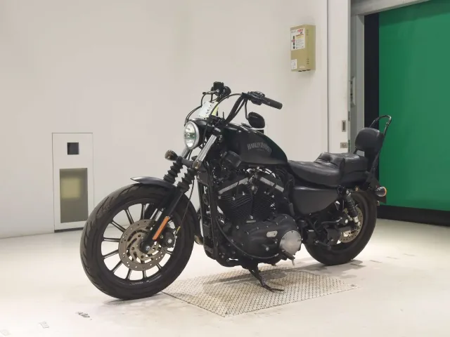 Harley-Davidson XL883N 2012, matt black, фото 4