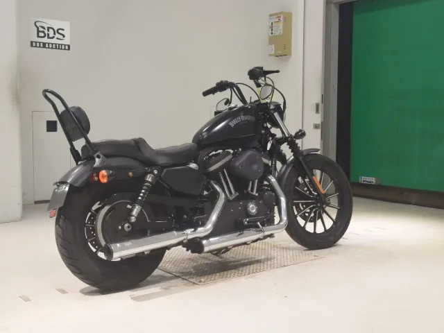 Harley-Davidson XL883N 2012, matt black, фото 5