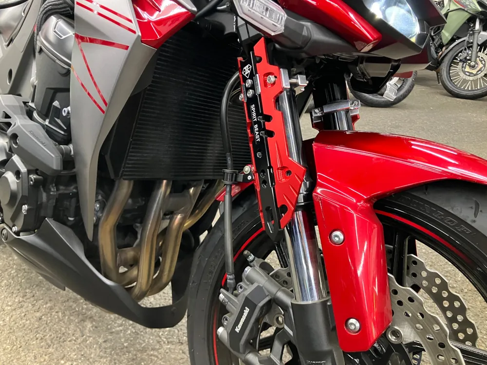 Kawasaki Ninja1000A 2021, red/ black, фото 4