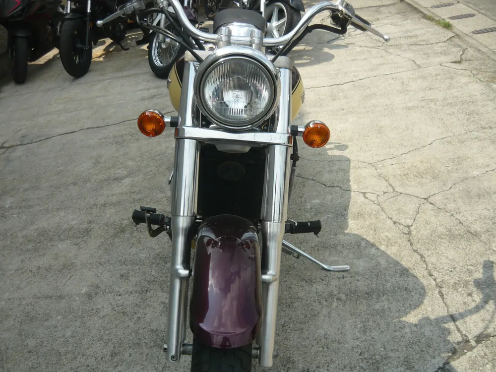 Kawasaki Vulcan 400 Classic 1998, cream, фиолетовый, фото 7