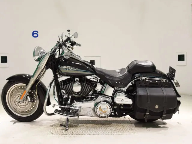 Harley-Davidson FLSTF1580 2010, чёрный, фото 2