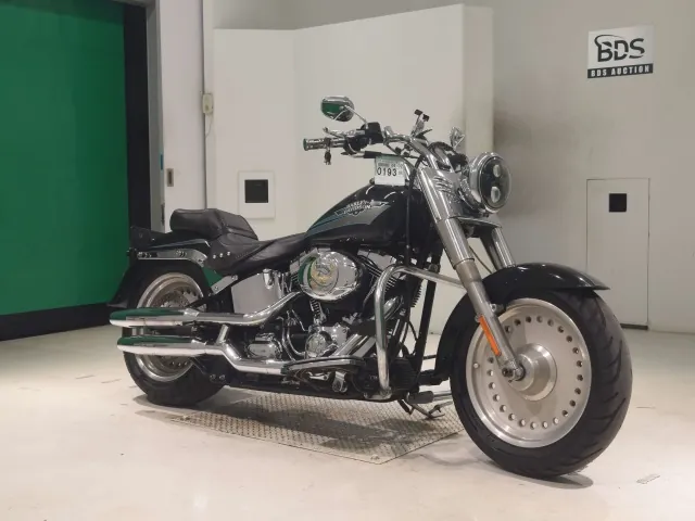 Harley-Davidson FLSTF1580 2010, чёрный, фото 3