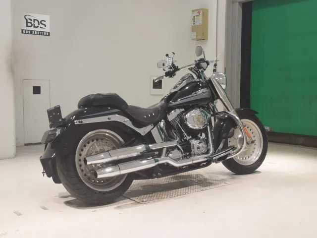 Harley-Davidson FLSTF1580 2010, чёрный, фото 5