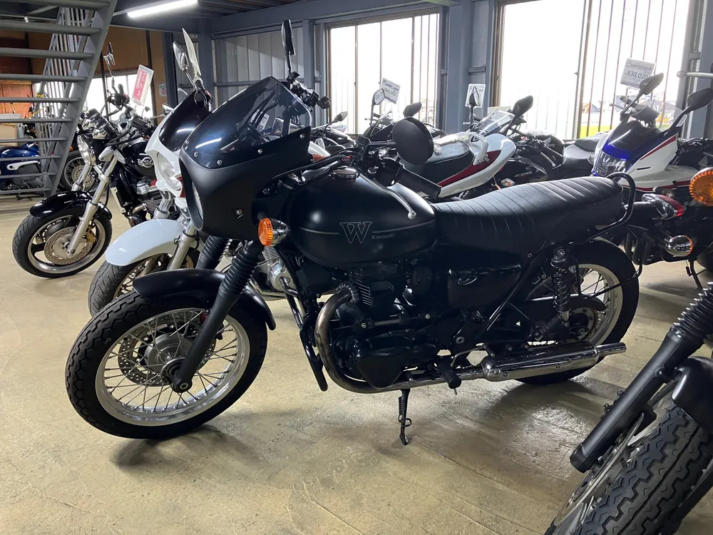 Kawasaki W800-2 2019, maddo black, фото 3