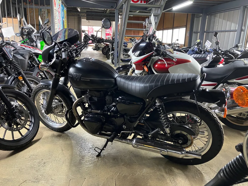 Kawasaki W800-2 2019, maddo black, фото 4
