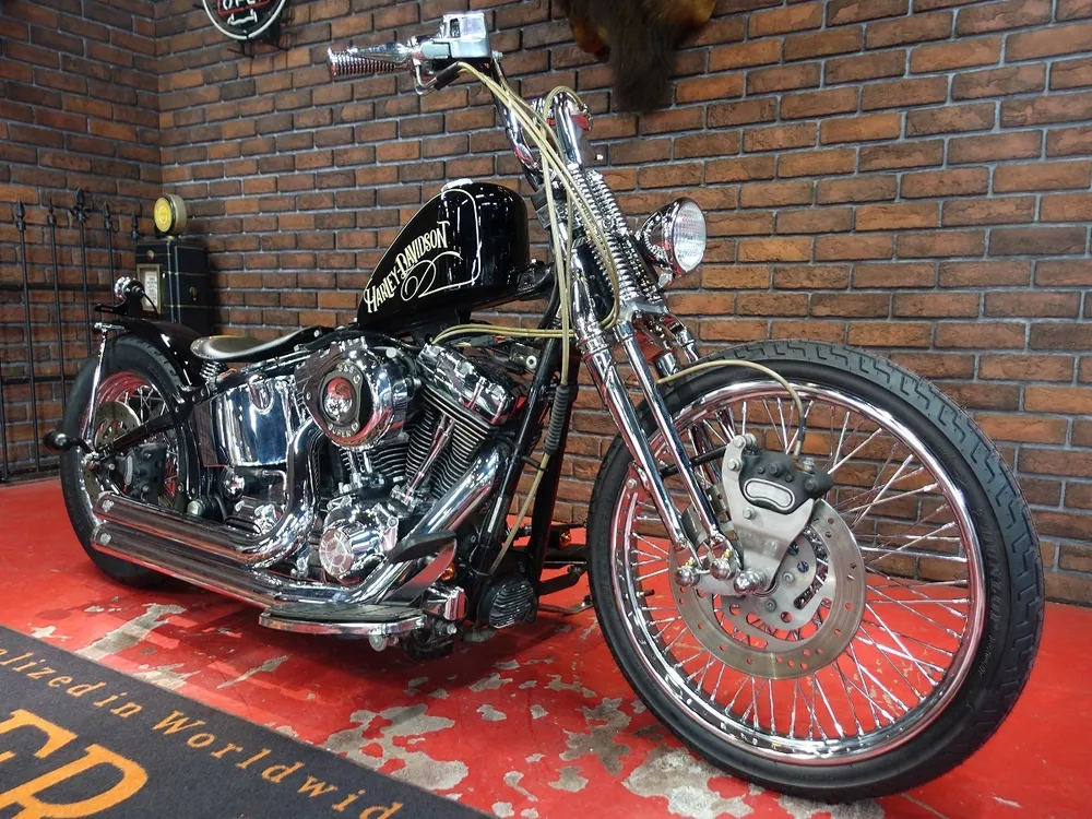 Harley-Davidson FLSTF 2004, фото 4