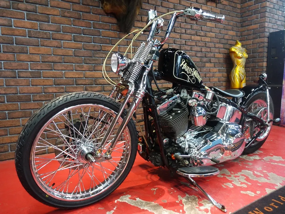 Harley-Davidson FLSTF 2004, фото 5