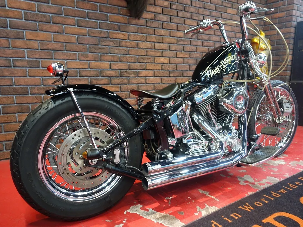 Harley-Davidson FLSTF 2004, фото 6