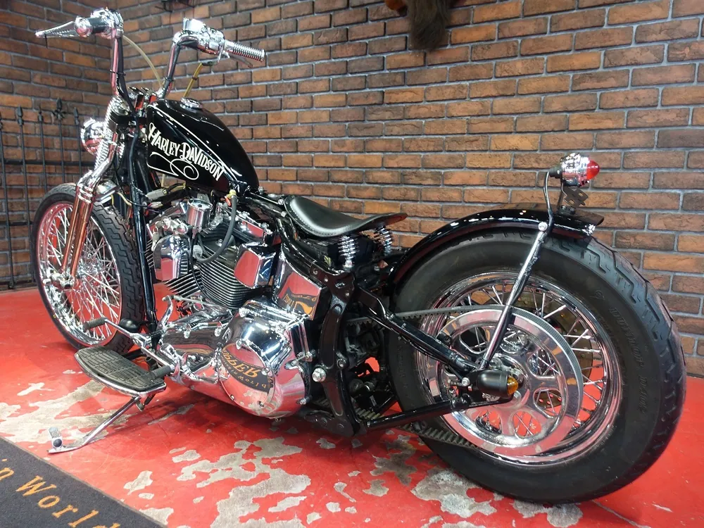 Harley-Davidson FLSTF 2004, фото 7