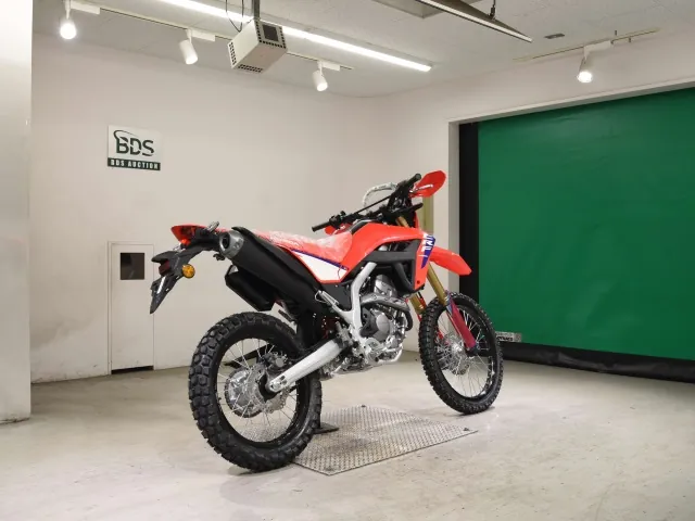 Honda CRF250 Rally, white | red | blue, фото 5