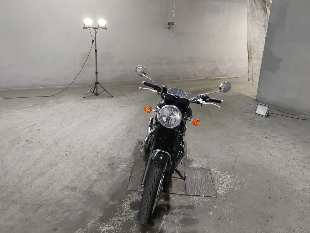 Triumph T120 Bonneville 2023, white/black, фото 3