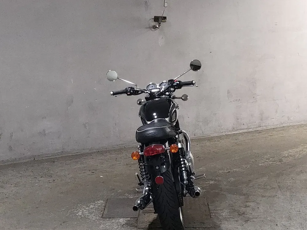 Triumph T120 Bonneville 2023, white/black, фото 4