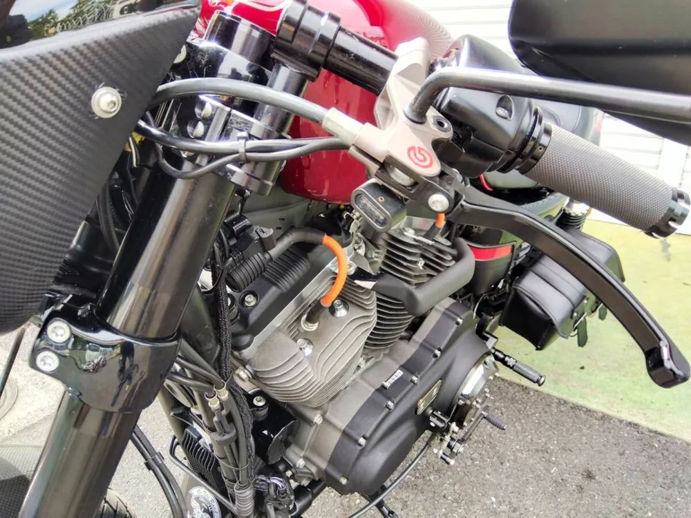 Harley-Davidson Sportster XL1200CX Roadster 2016, фото 10