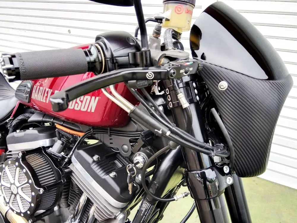 Harley-Davidson Sportster XL1200CX Roadster 2016, фото 3