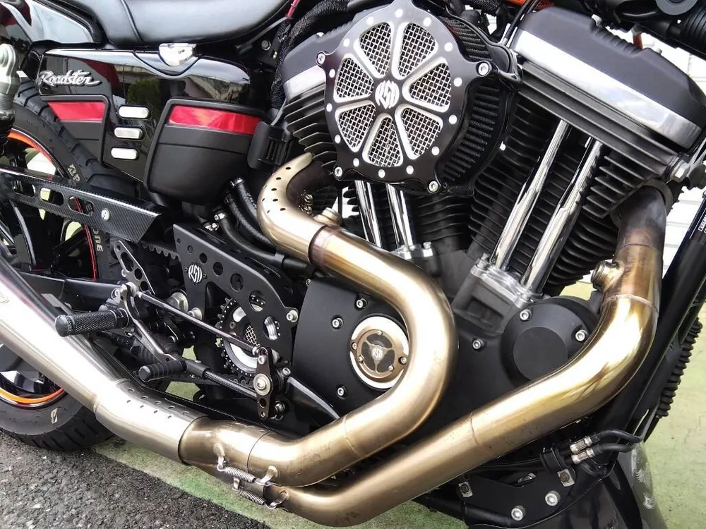 Harley-Davidson Sportster XL1200CX Roadster 2016, фото 4