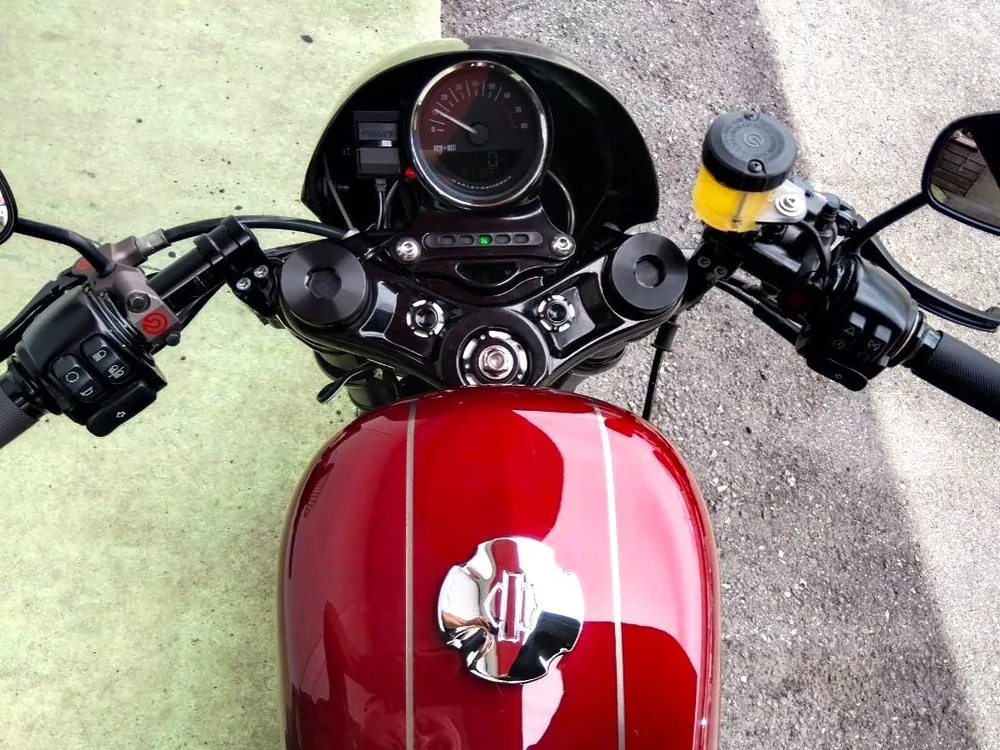 Harley-Davidson Sportster XL1200CX Roadster 2016, фото 6