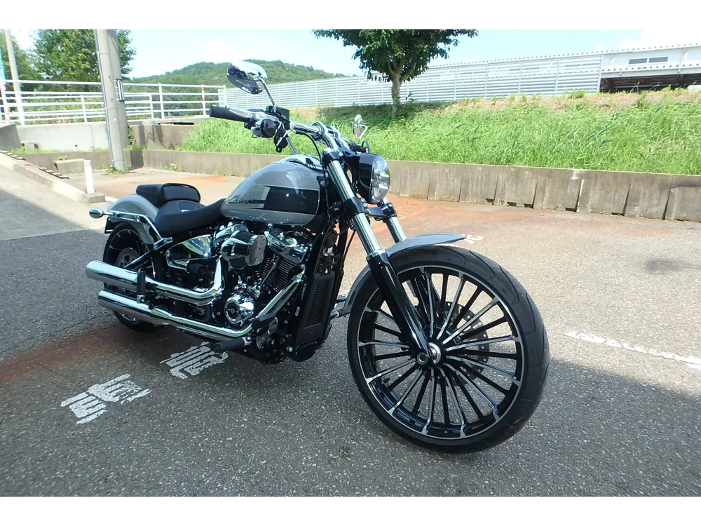 Harley-Davidson FXBR 2024, серый, фото 3
