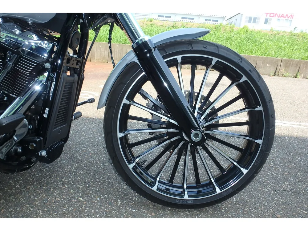 Harley-Davidson FXBR 2024, серый, фото 4