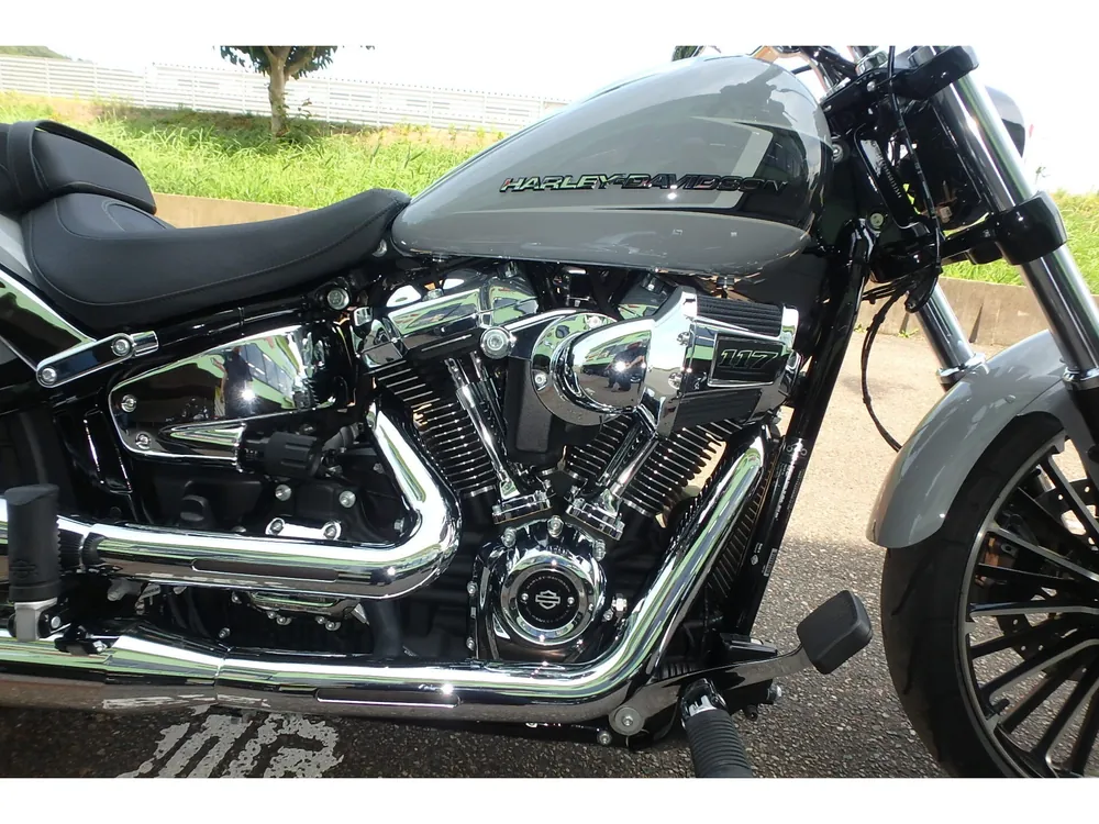 Harley-Davidson FXBR 2024, серый, фото 5