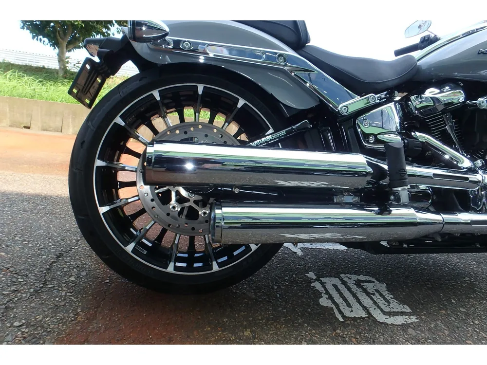 Harley-Davidson FXBR 2024, серый, фото 6