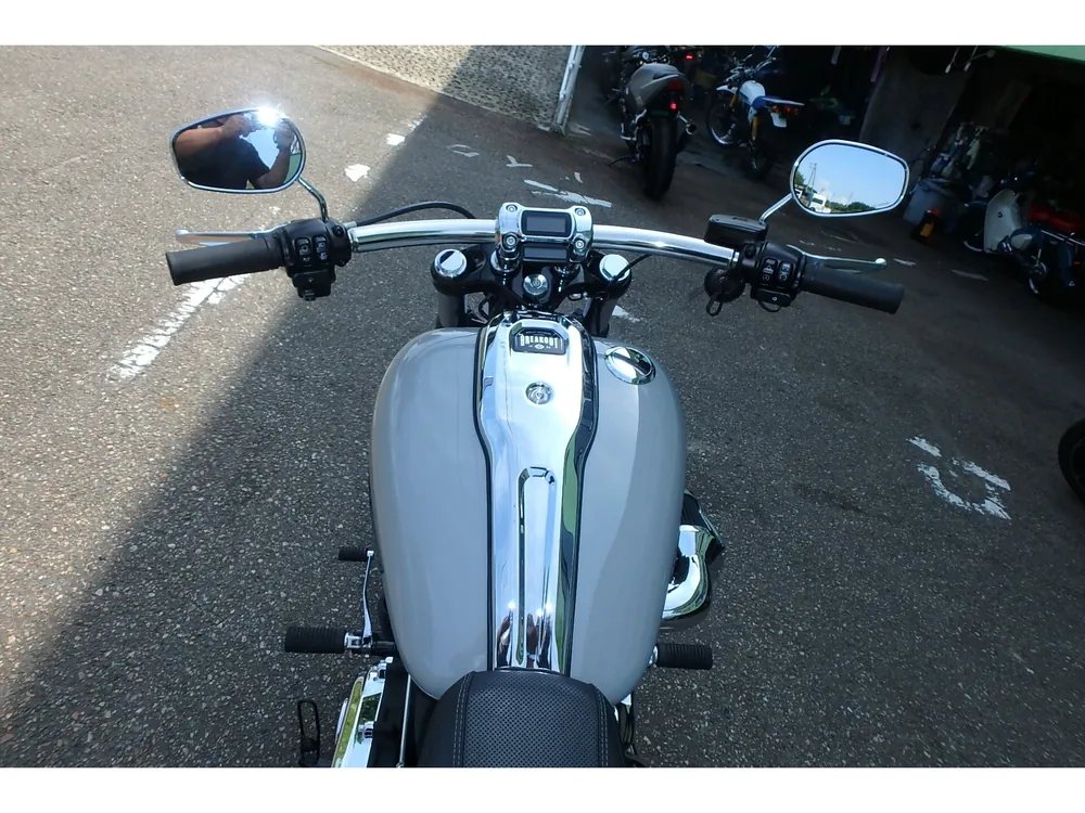 Harley-Davidson FXBR 2024, серый, фото 10