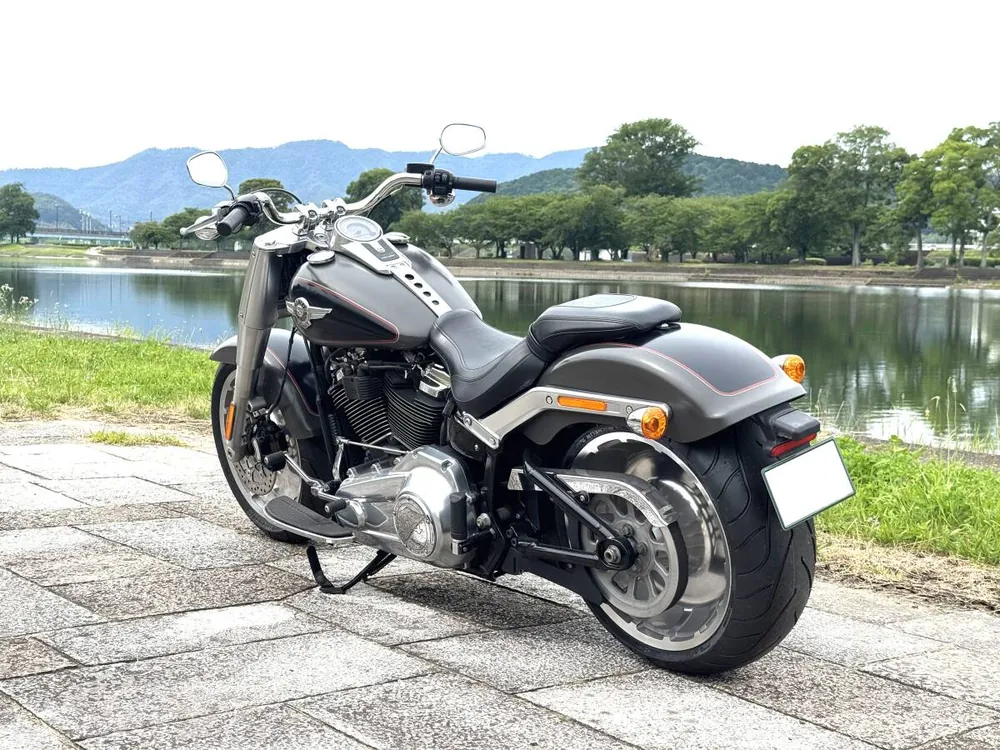 Harley-Davidson Fat Boy 114 2019, фото 4