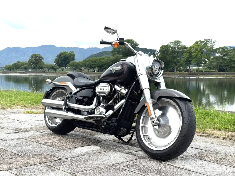 Harley-Davidson Fat Boy 114 2019, фото 5