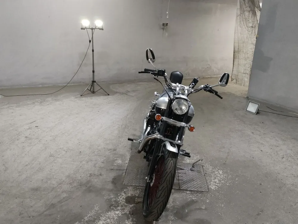 Harley-Davidson FXDL Dyna Low Rider из Японии, фото 3