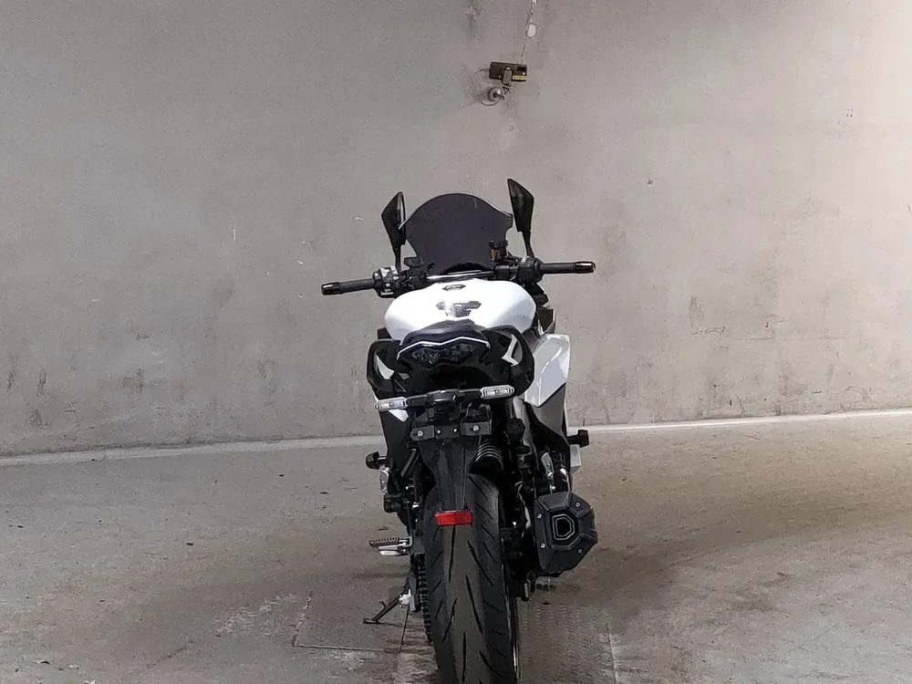 Kawasaki Ninja 1100SX 2025, белый, фото 4