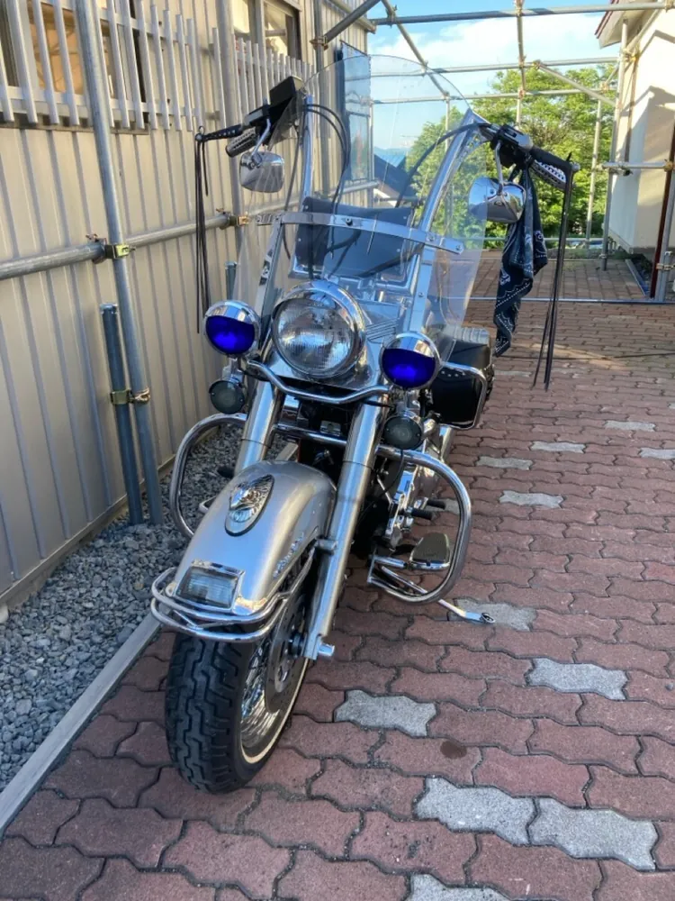 Harley-Davidson Heritage Softail Classic 1993, фото 8