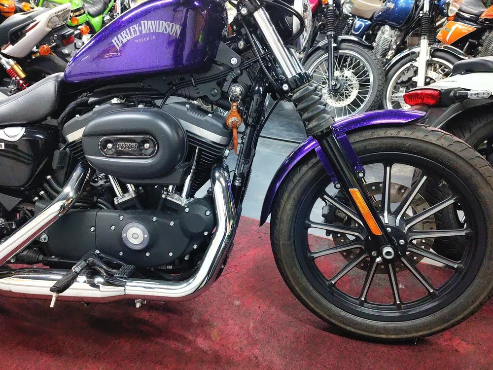 Harley-Davidson XL883R 2014, фиолетовый, фото 9