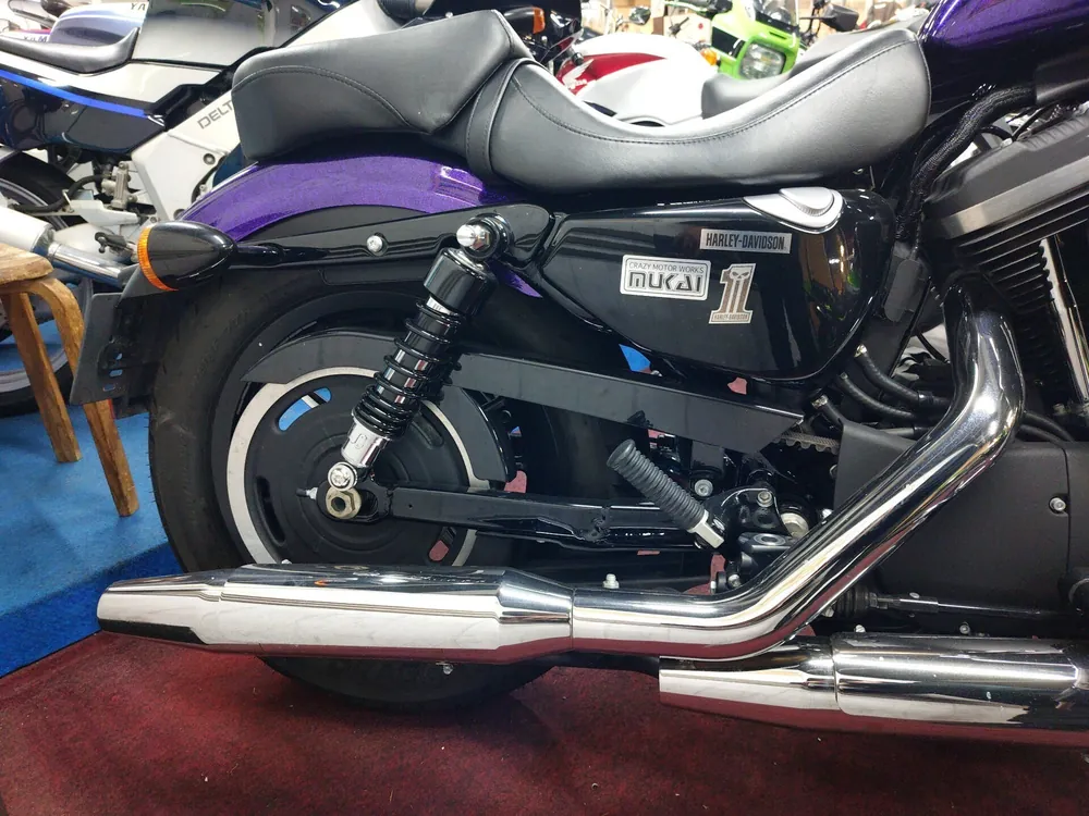 Harley-Davidson XL883R 2014, фиолетовый, фото 10