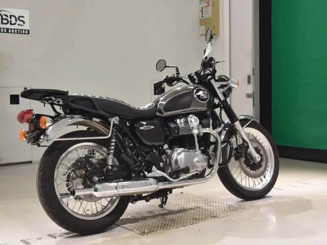 Kawasaki W800-2 2022, plating, фото 5
