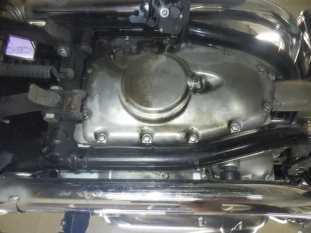 Kawasaki W800-2 2022, plating, фото 7