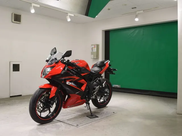 Kawasaki Ninja 250SL, red | black, фото 4