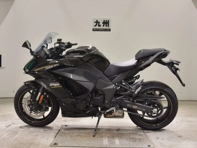 Kawasaki Ninja 1100SX 2026, light brown, фото 2