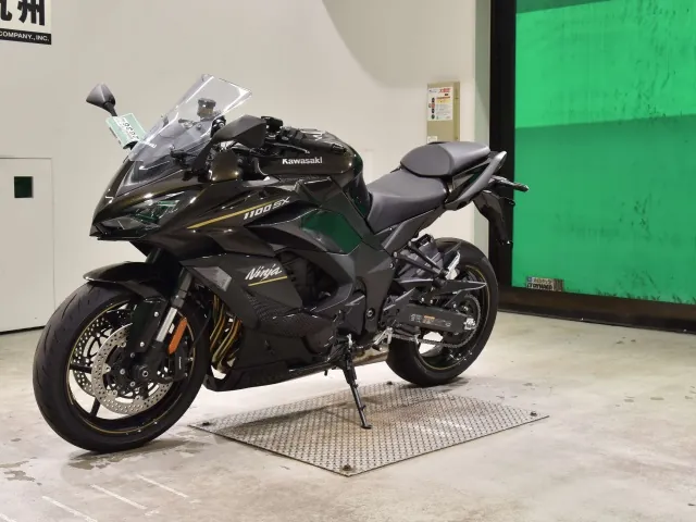 Kawasaki Ninja 1100SX 2026, light brown, фото 4
