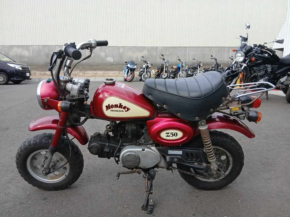 Honda Gorilla Z50J 2015, black/red, фото 2