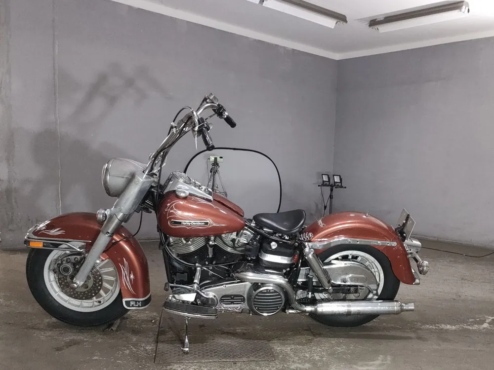 Harley-Davidson FLH 2005, light brown, фото 2