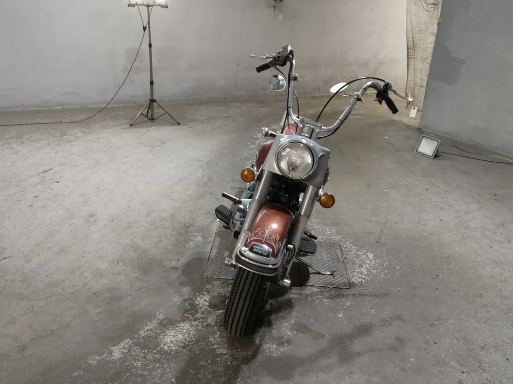 Harley-Davidson FLH 2005, light brown, фото 3