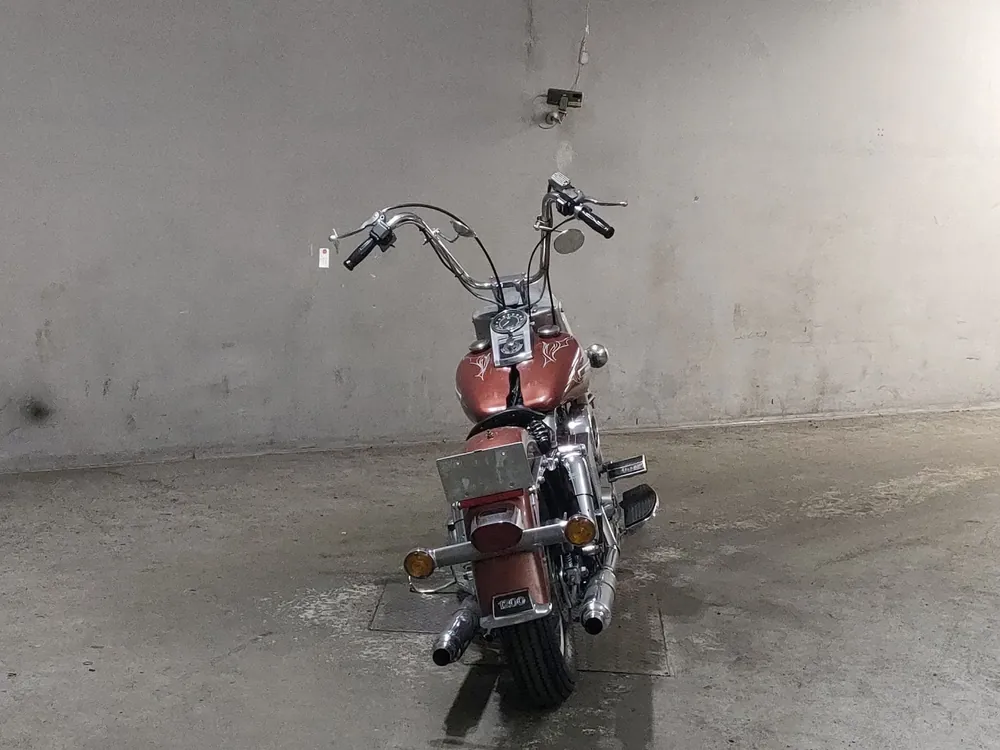 Harley-Davidson FLH 2005, light brown, фото 4