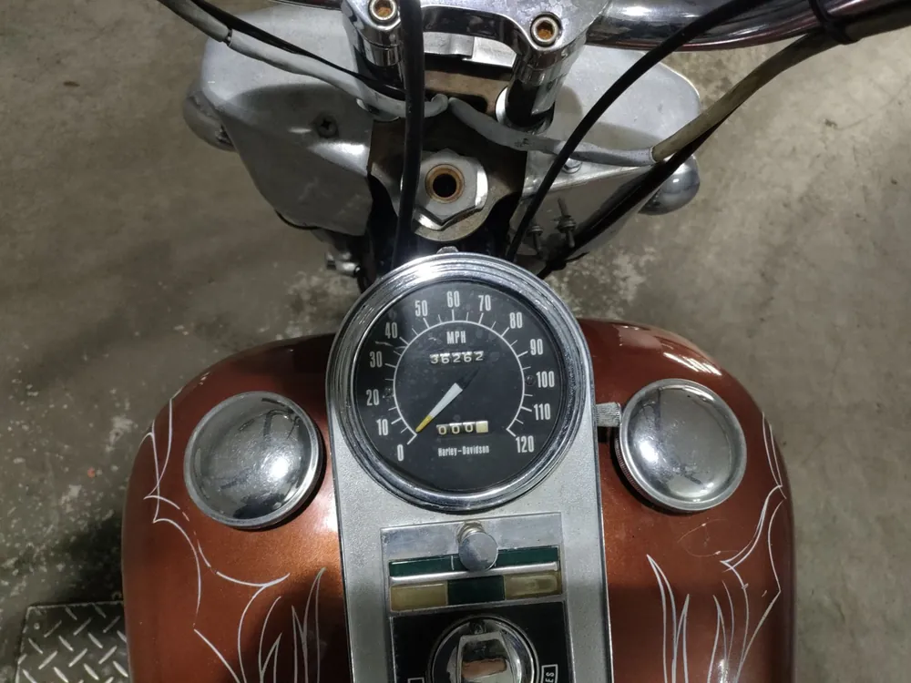 Harley-Davidson FLH 2005, light brown, фото 5