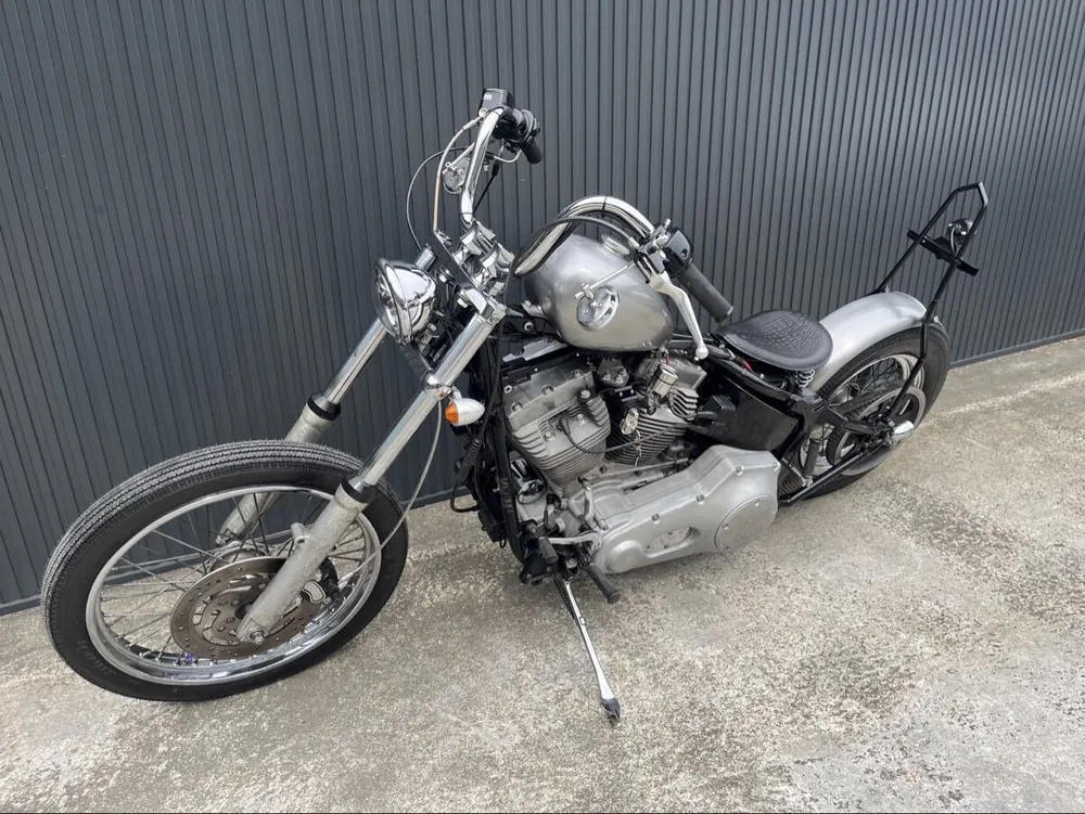 Harley-Davidson FXST 2000, фото 8