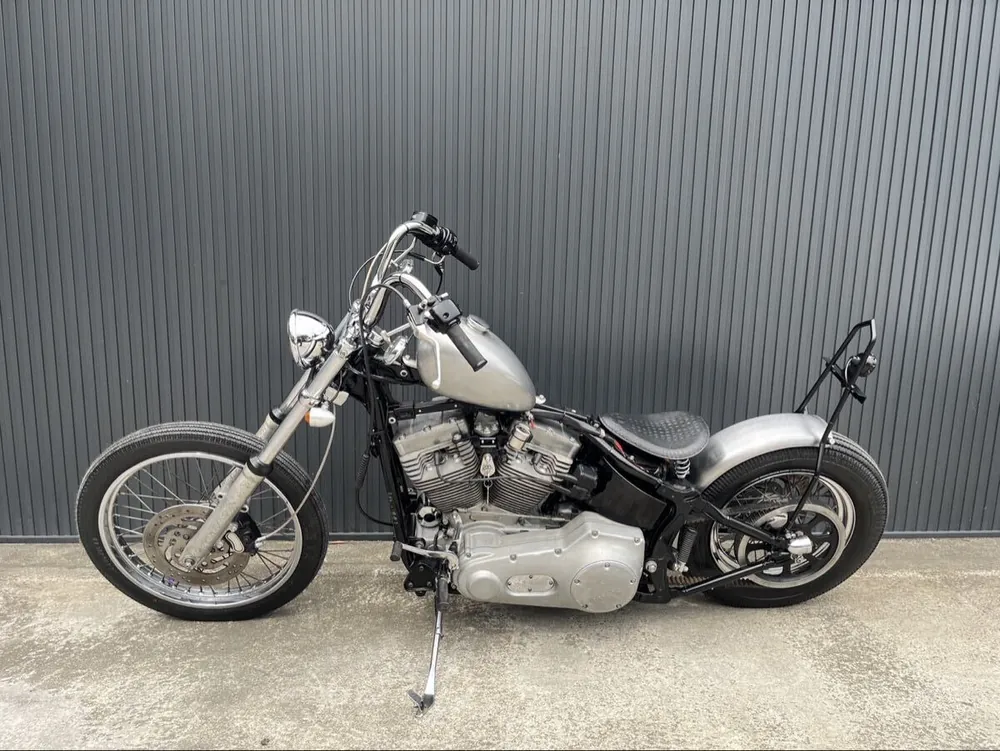 Harley-Davidson FXST 2000, фото 4