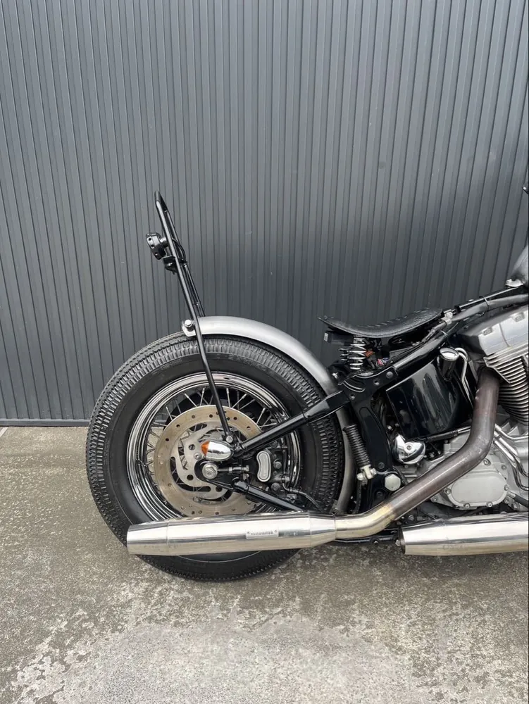 Harley-Davidson FXST 2000, фото 6