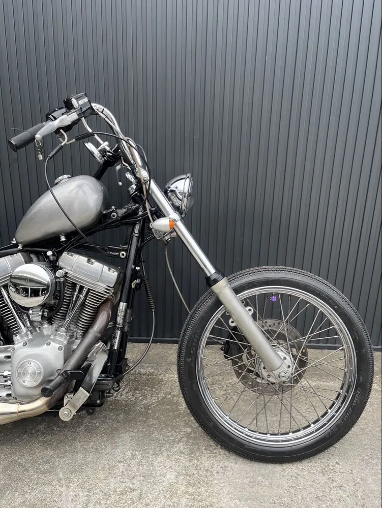 Harley-Davidson FXST 2000, фото 7